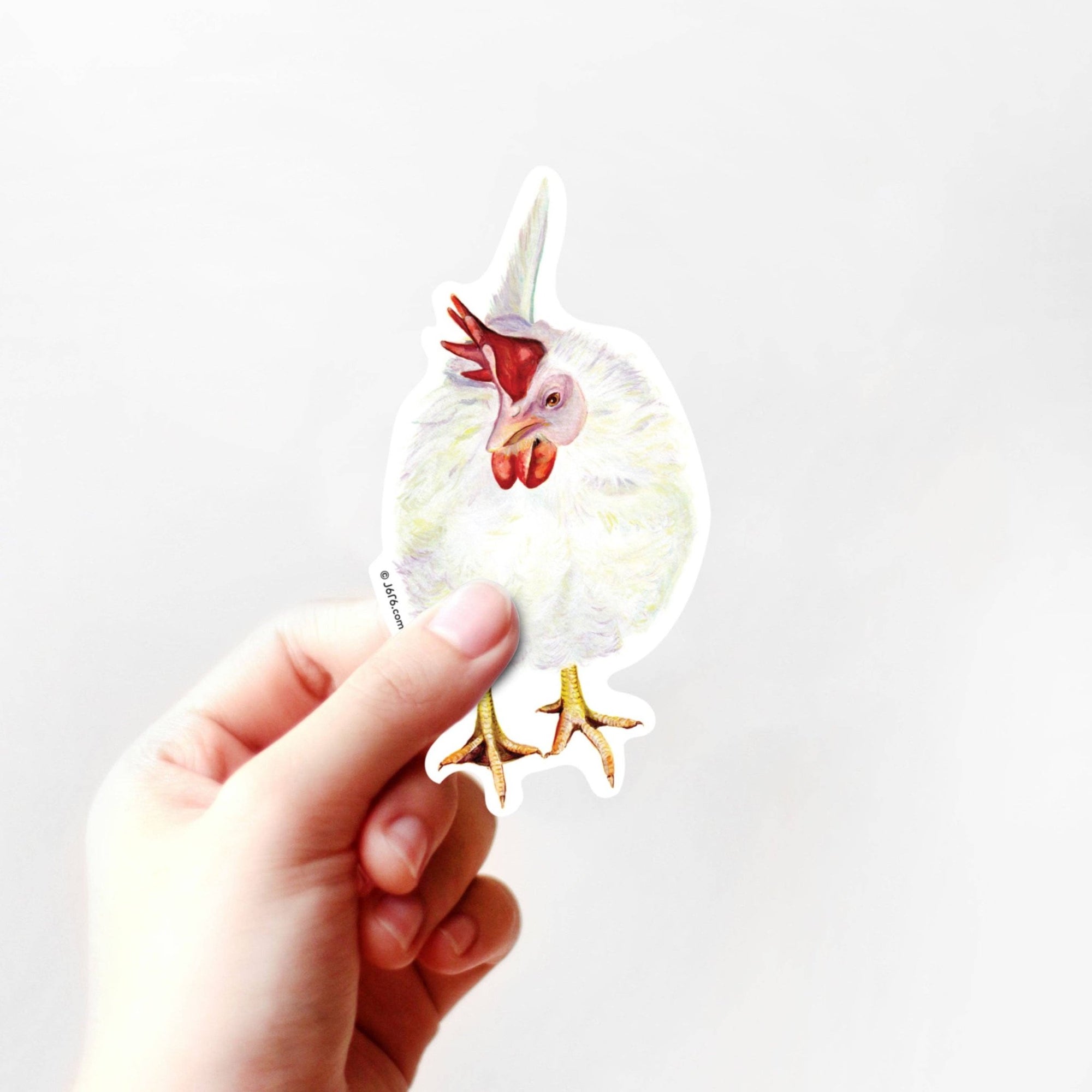 Chicken Vinyl Sticker - Box Turtle