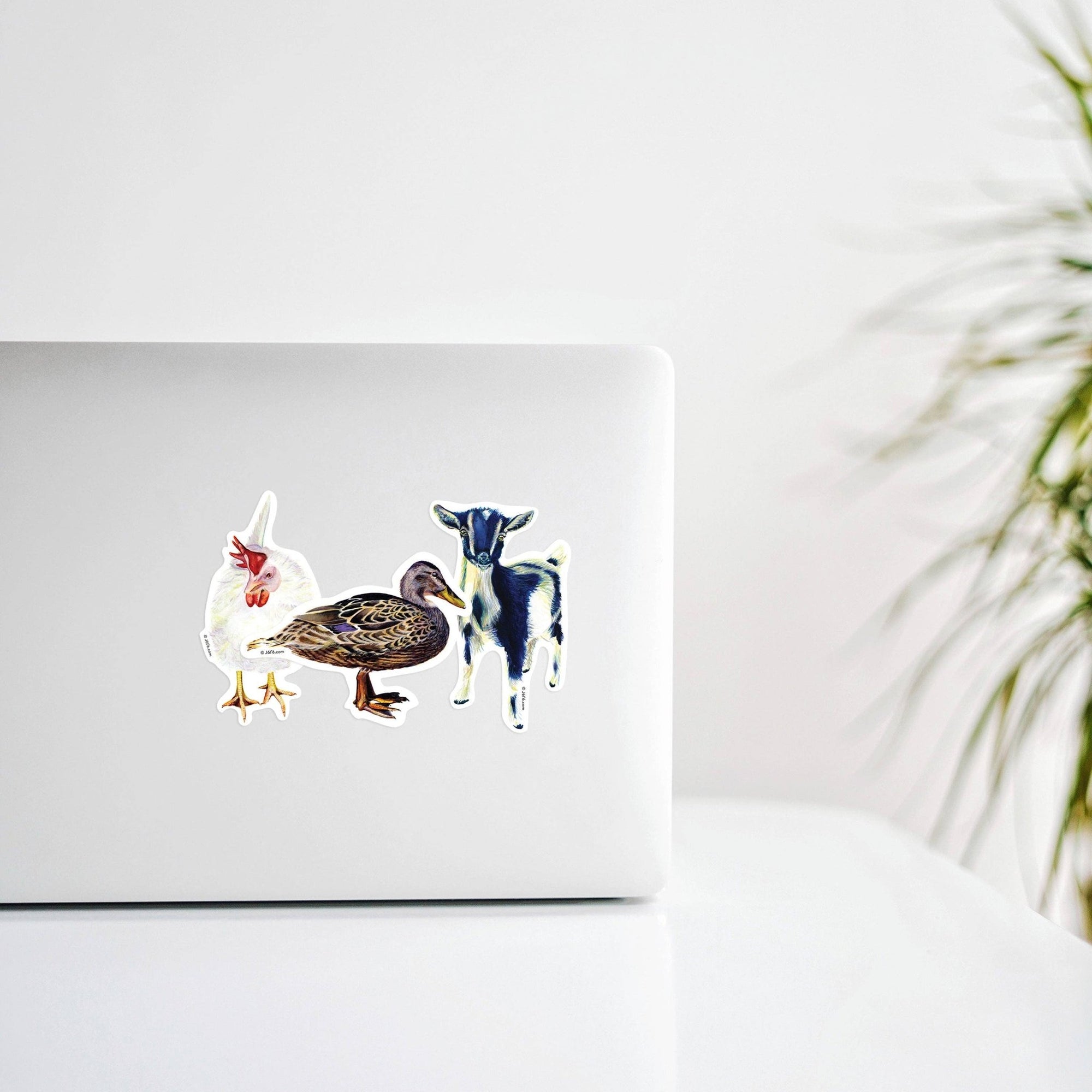Chicken Vinyl Sticker - Box Turtle