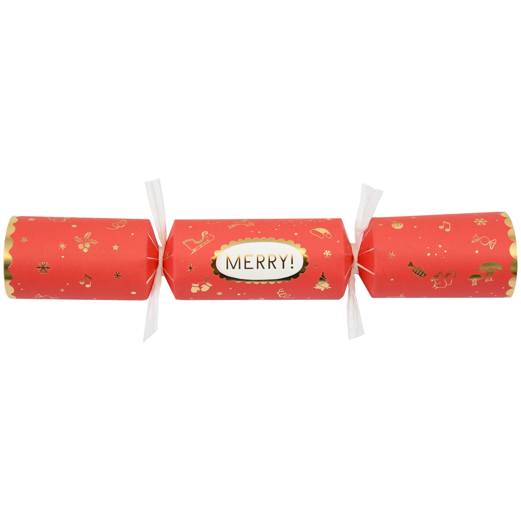Christmas Crackers - Box Turtle