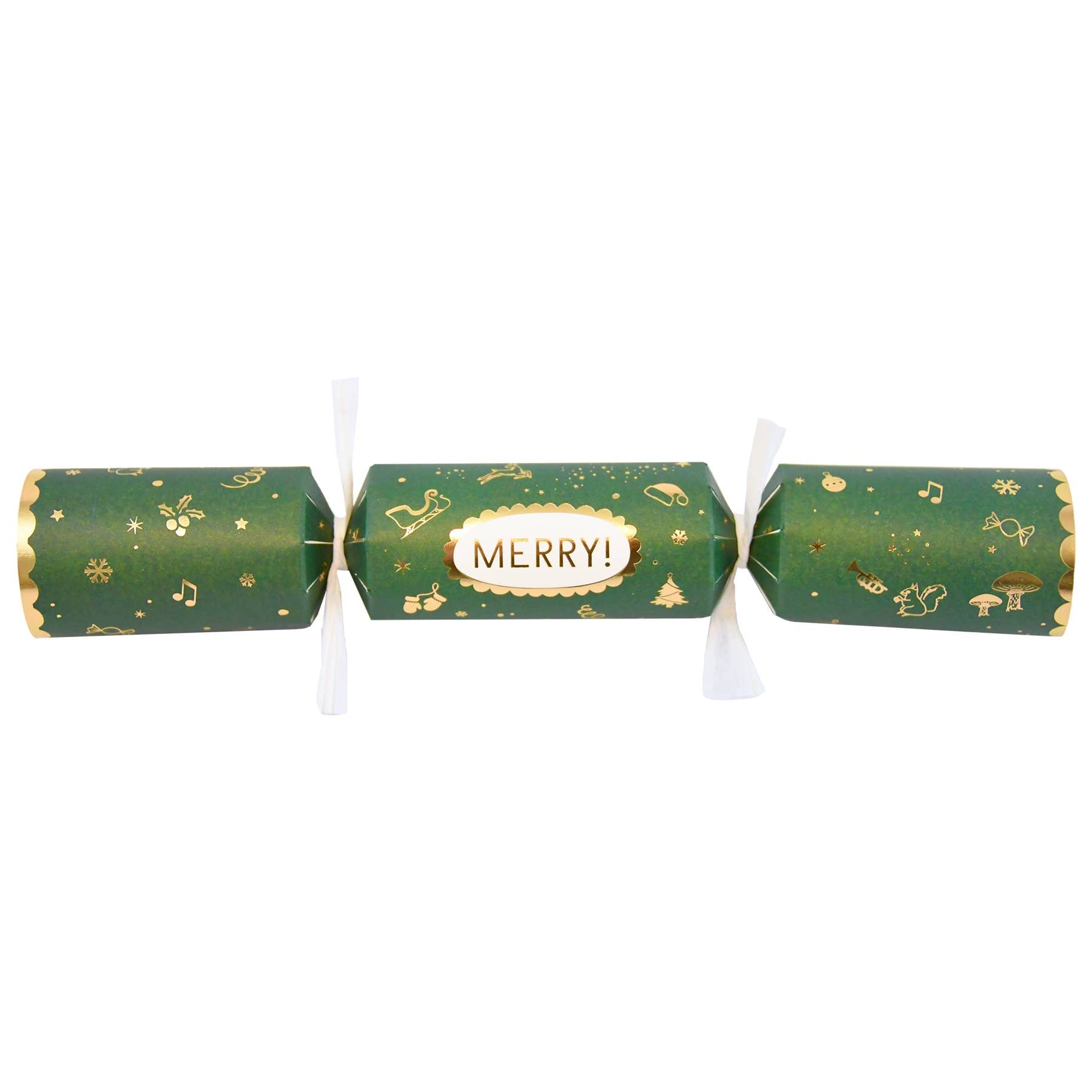 Christmas Crackers - Box Turtle