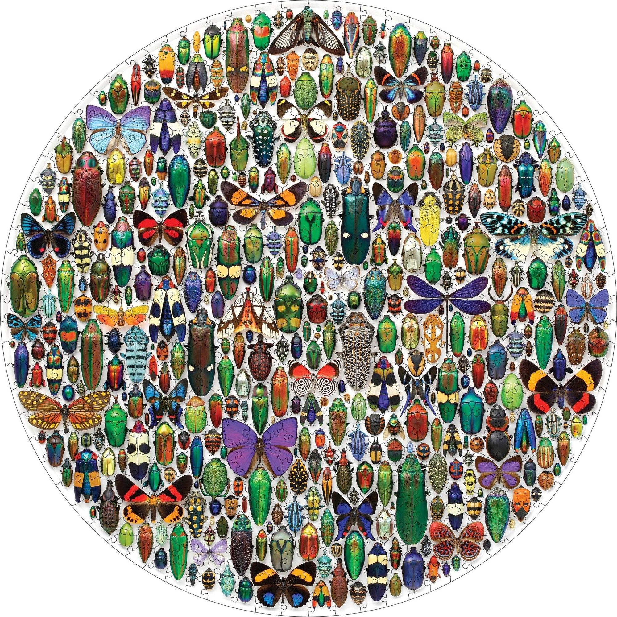 Christopher Marley: Macrocosm 500 - Piece Puzzle - Box Turtle