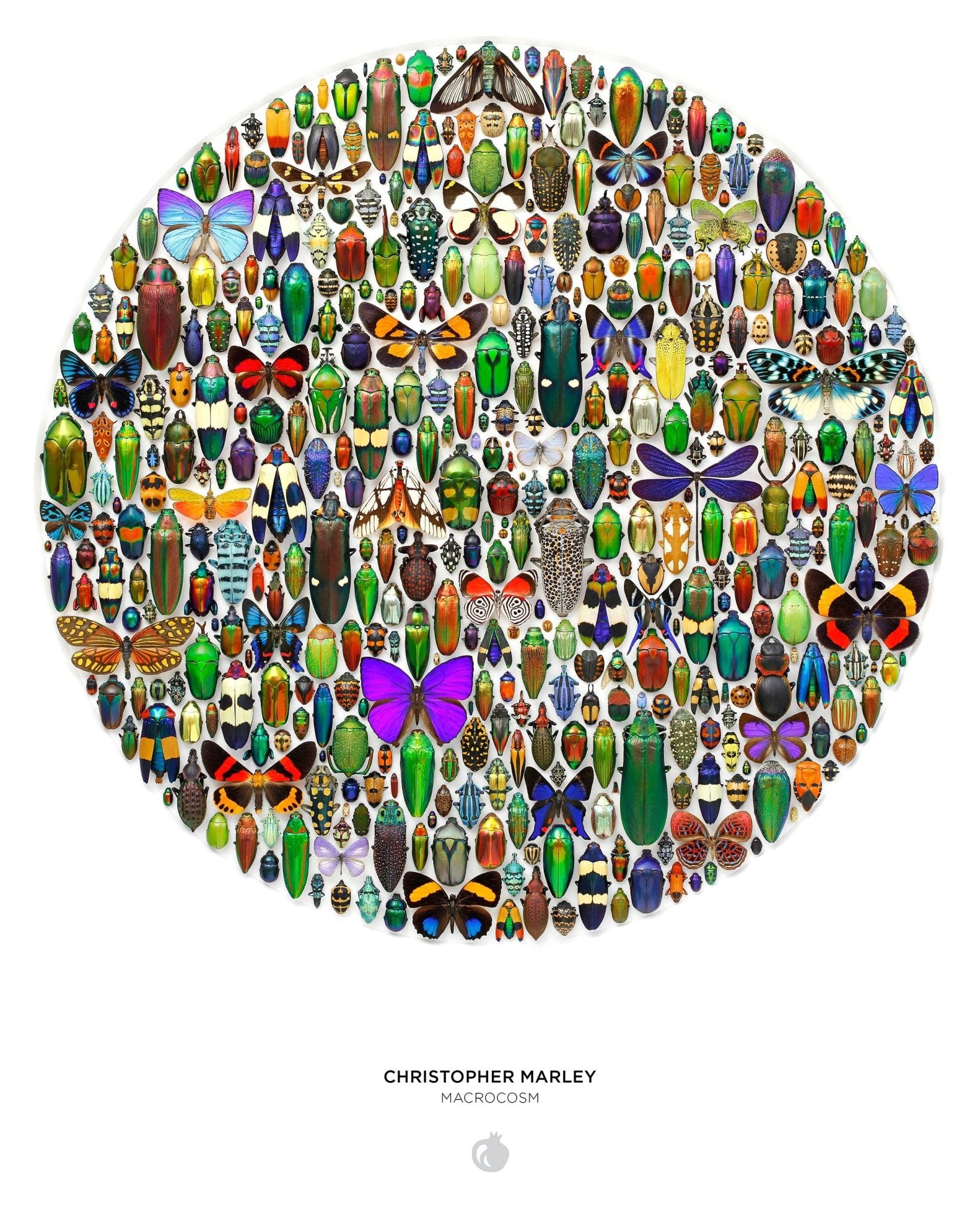 Christopher Marley: Macrocosm 500 - Piece Puzzle - Box Turtle