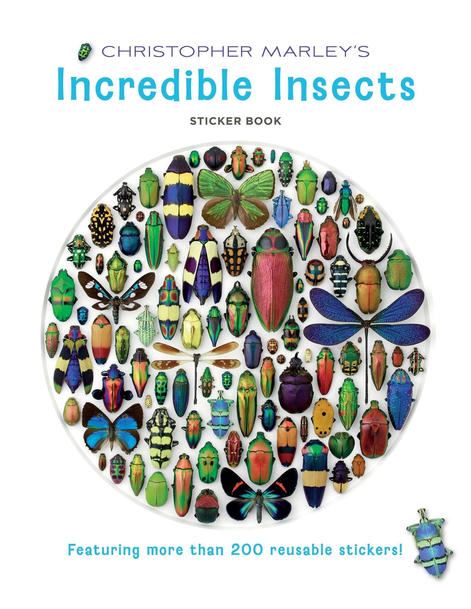 Christopher Marley's Incredible Insects Sticker Book - Box Turtle