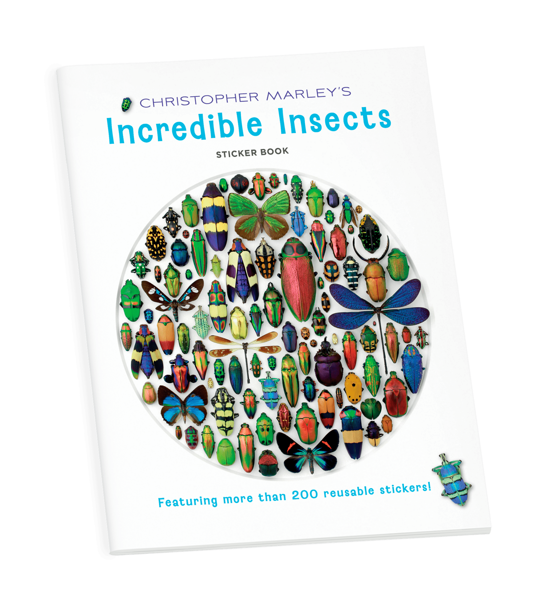 Christopher Marley's Incredible Insects Sticker Book - Box Turtle