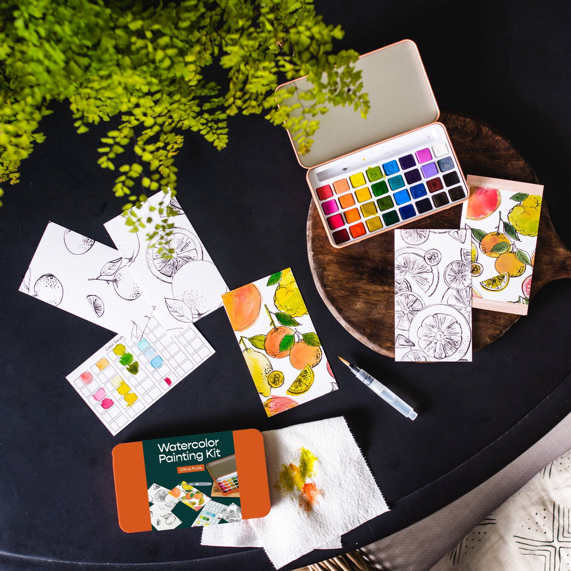 Citrus Fruits Watercolor Painting Kit - Box Turtle