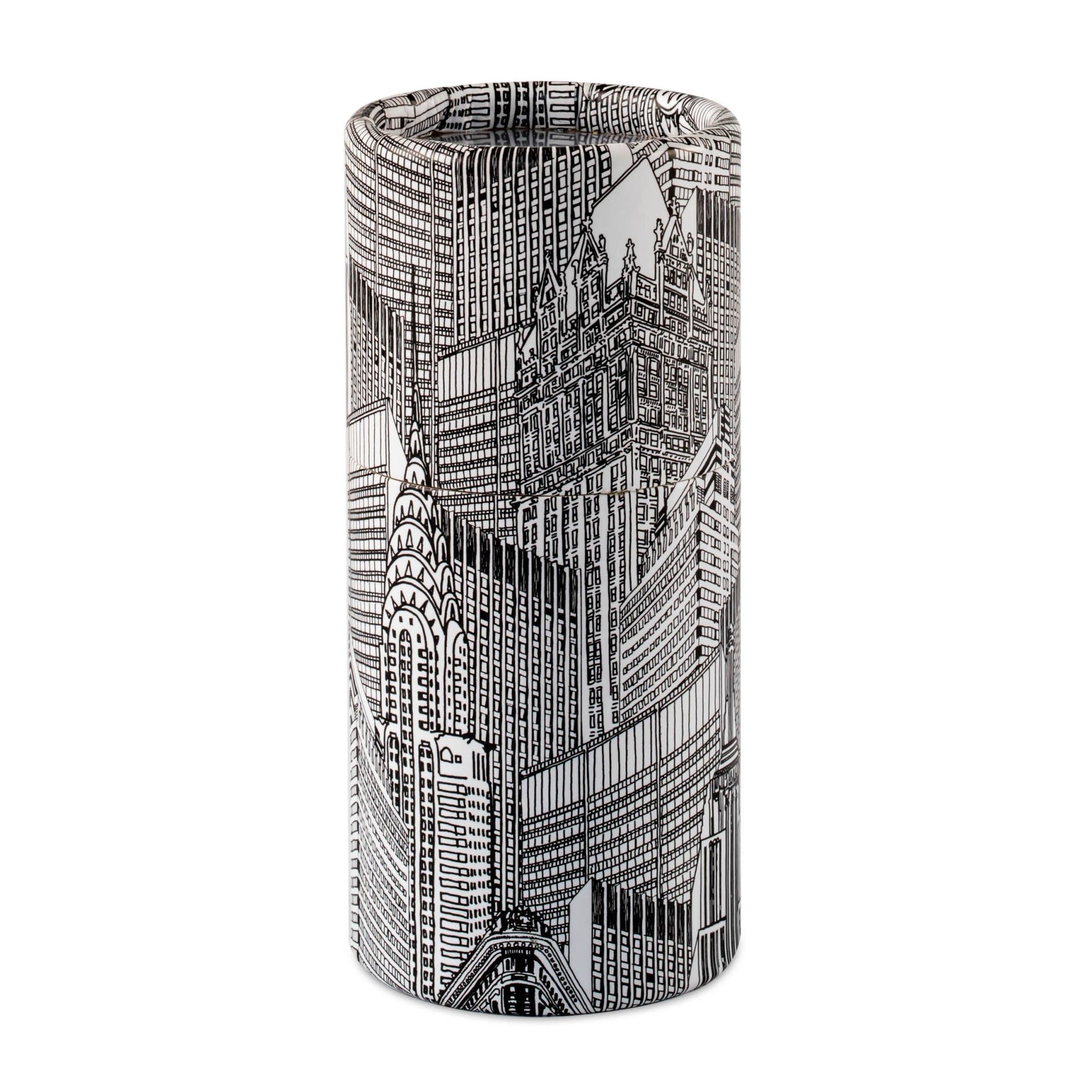 Cityscape - Safety Matches - Box Turtle