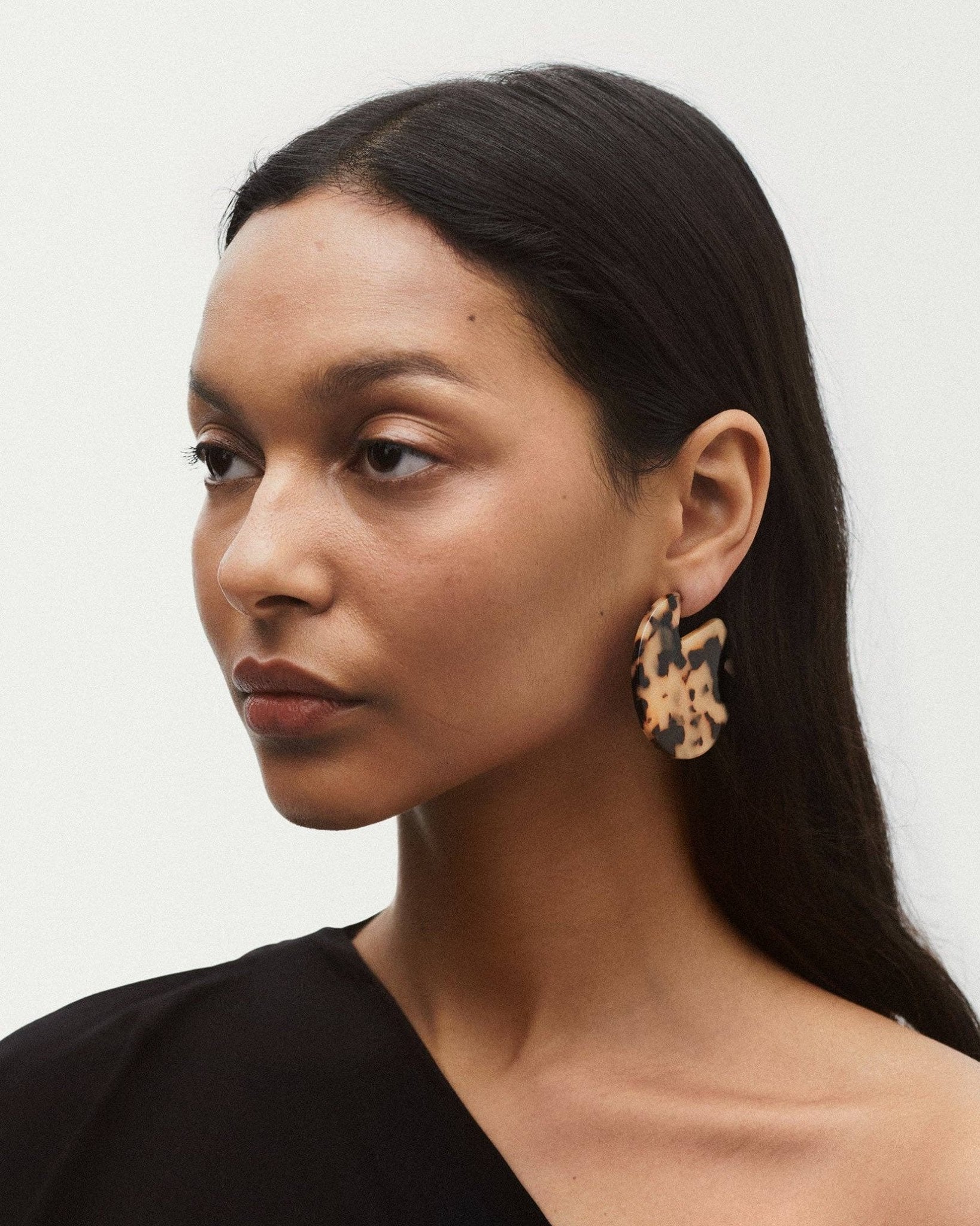 Clare Earrings in Tiger's Eye - Box Turtle