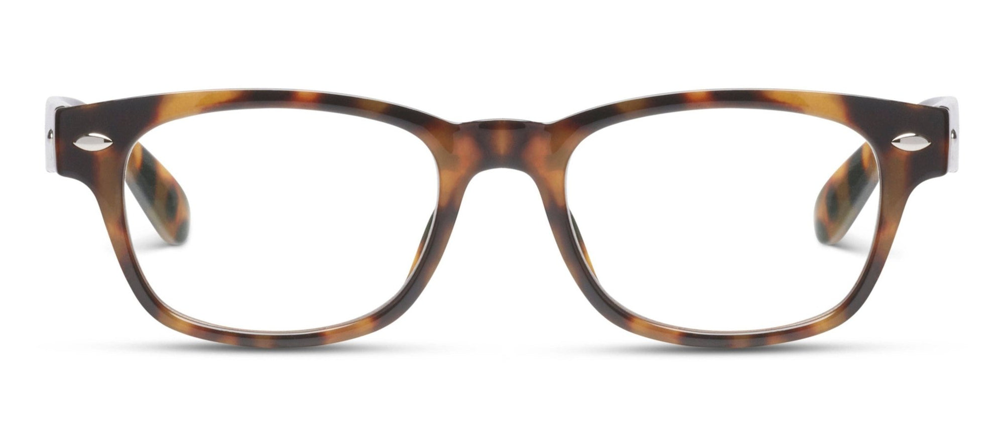 Clark Focus - Blue Light - Box Turtle