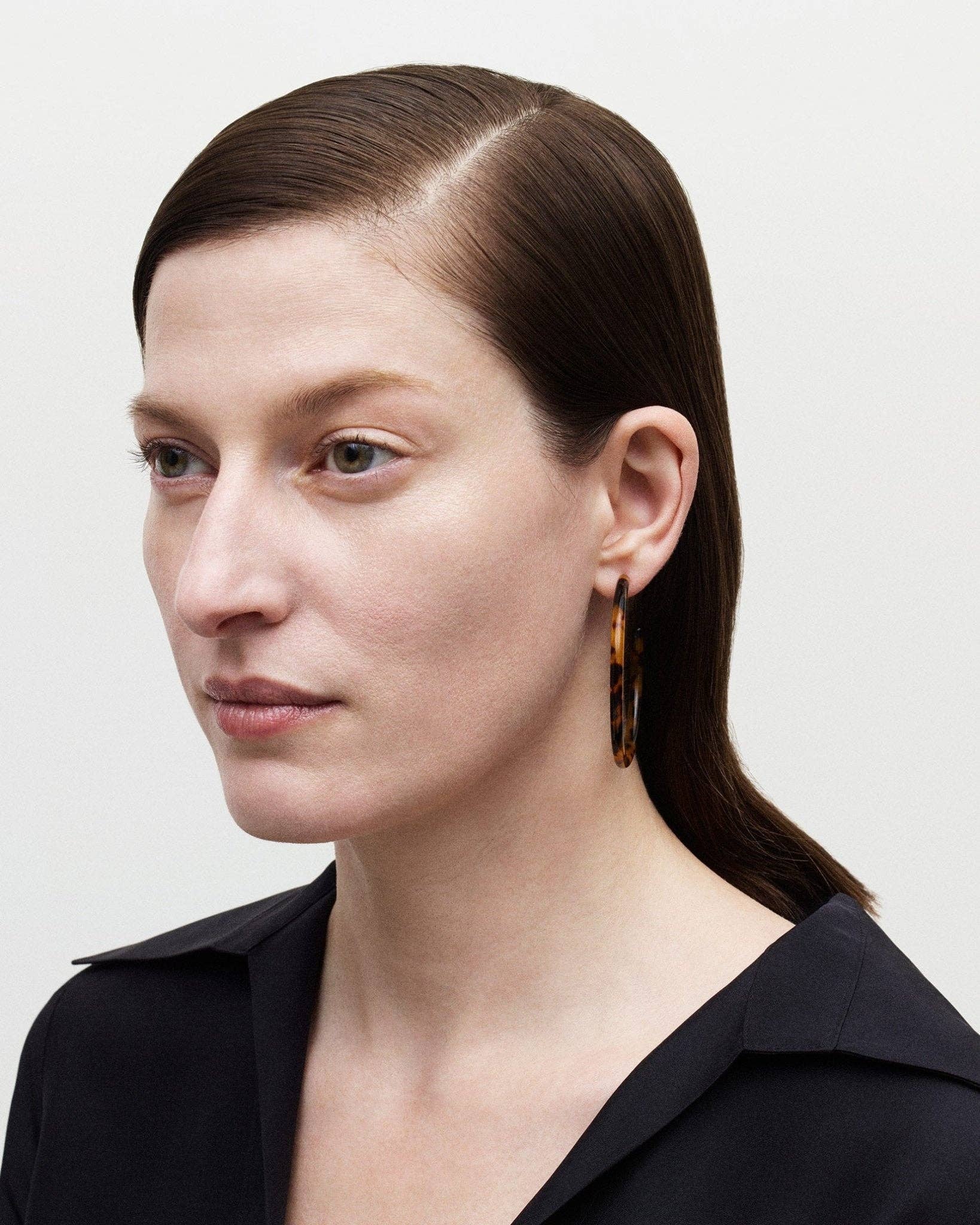 Classic Tortoise Large Hoops - Box Turtle