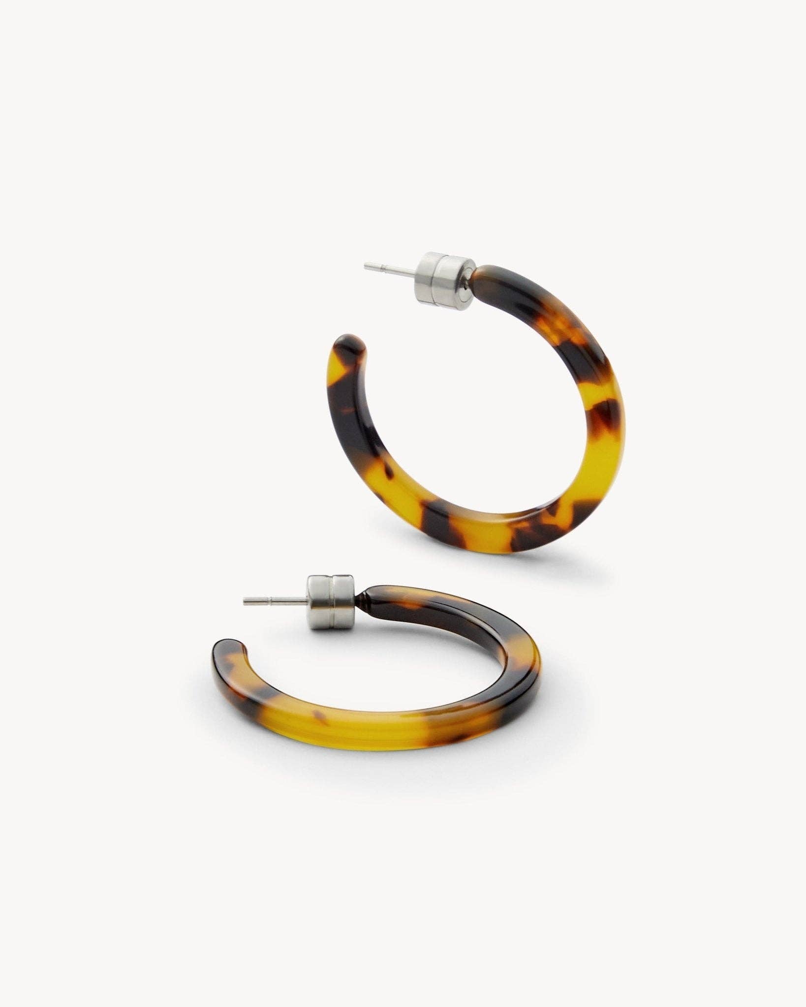 Classic Tortoise Mini Hoops - Box Turtle