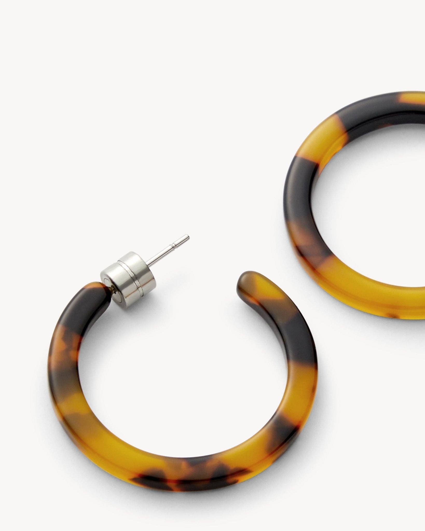 Classic Tortoise Mini Hoops - Box Turtle