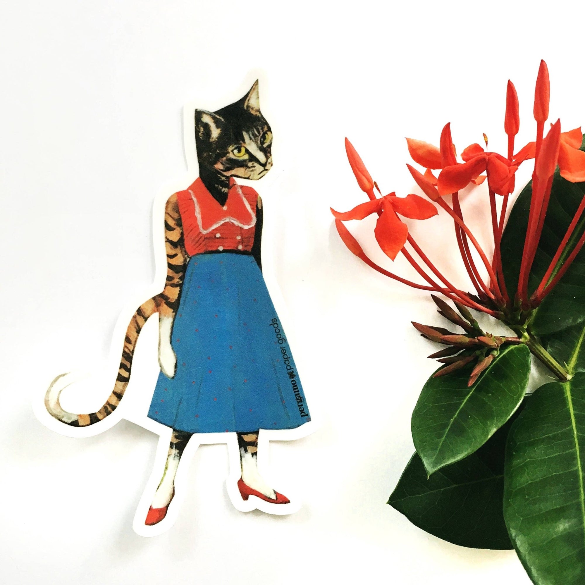 Classy Cat Lady Sticker - Box Turtle