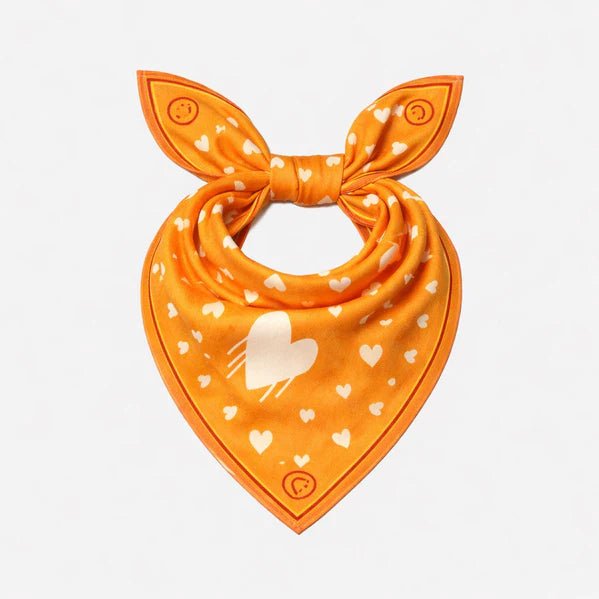Clementine Drippy Heart Bandana - Box Turtle