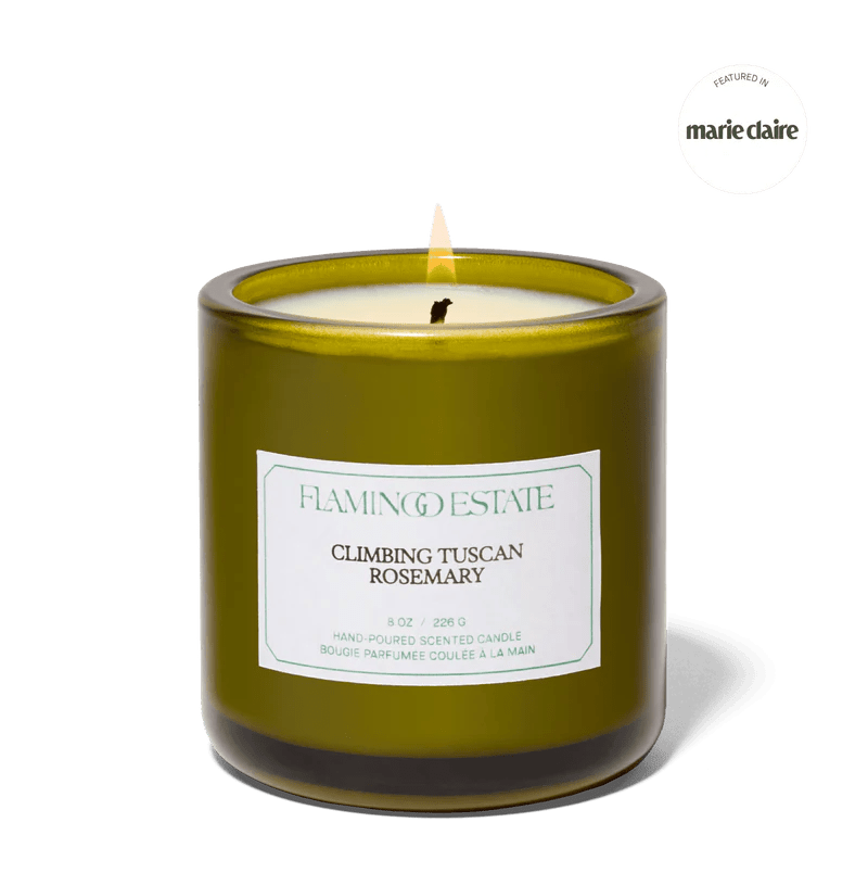 Climbing Tuscan Rosemary Candle - Box Turtle