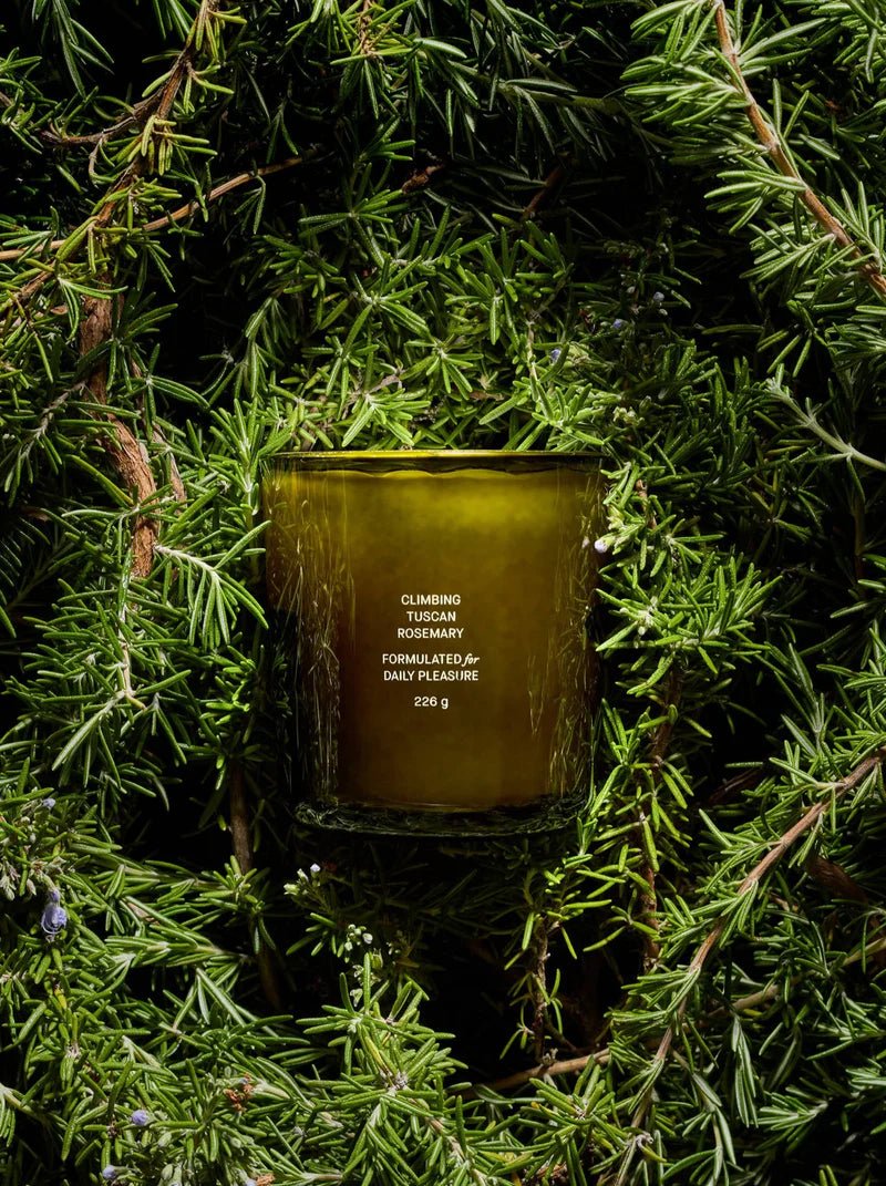 Climbing Tuscan Rosemary Candle - Box Turtle