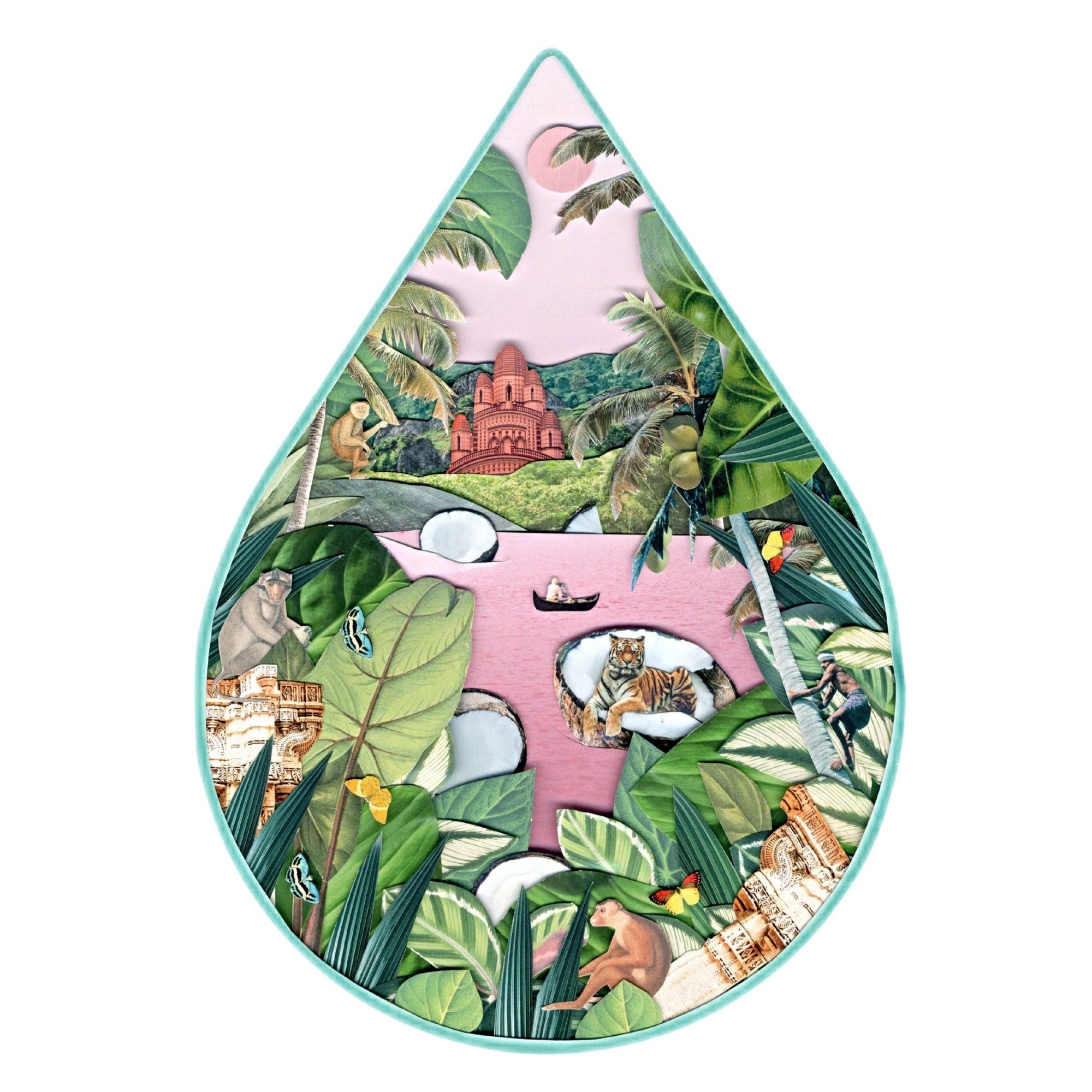 Coconut Oil - Box Turtle