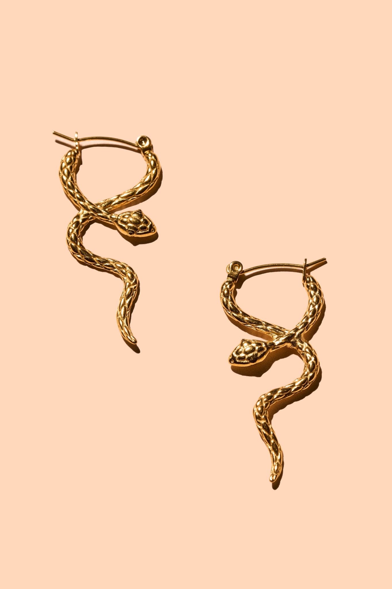 Coil Hoops - Box Turtle
