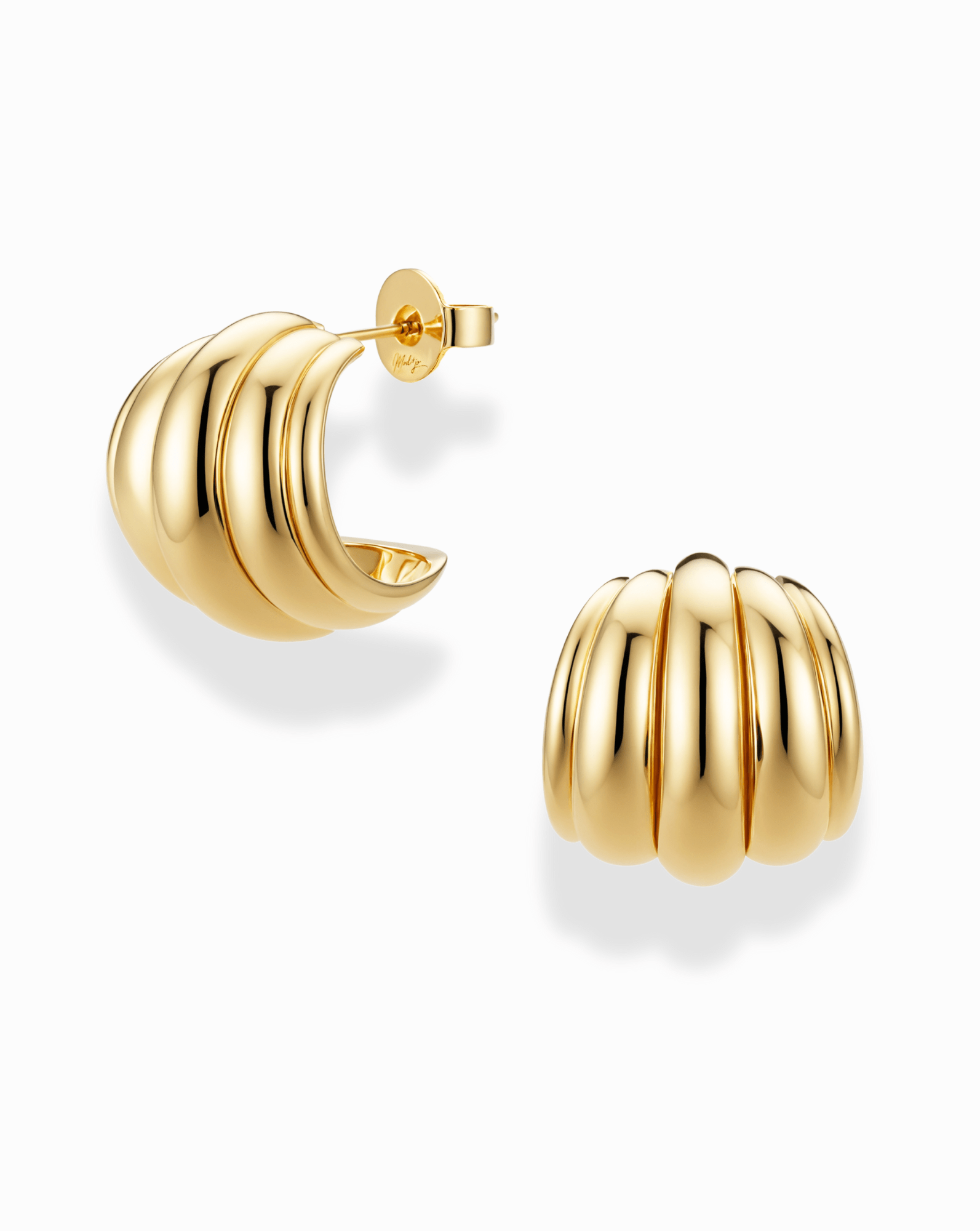 Colbie Hoops - Box Turtle