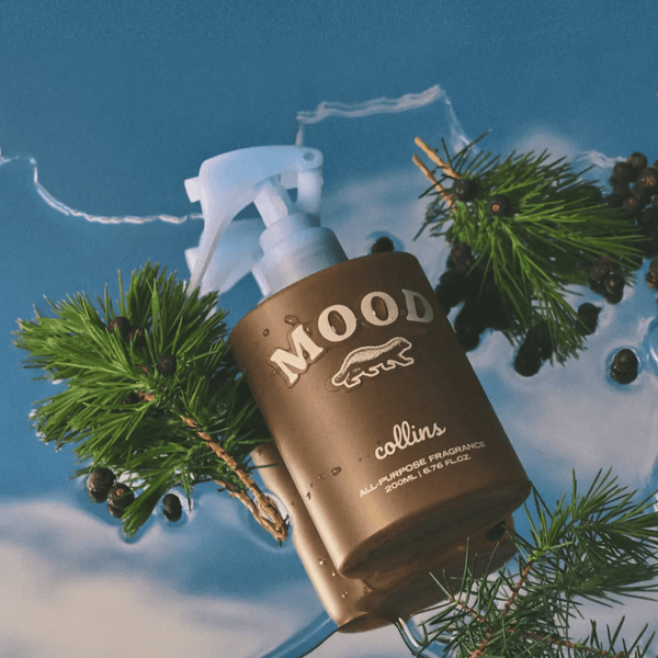 Collins Scottish Juniper Room Spray - Box Turtle