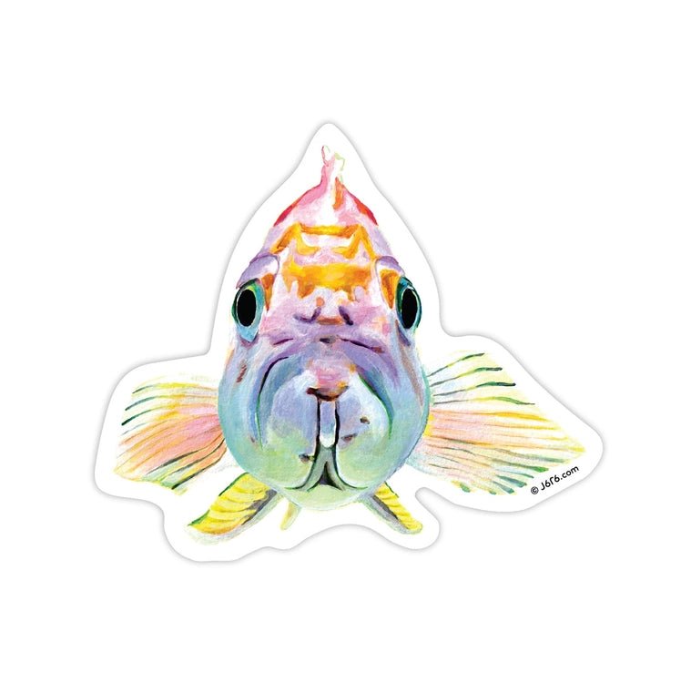 Colorful Fish Vinyl Sticker - Box Turtle