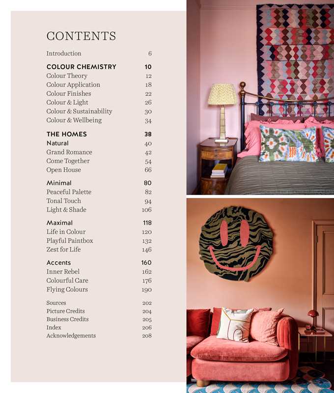 Colorful Homes for the Soul by Sara Bird - Box Turtle