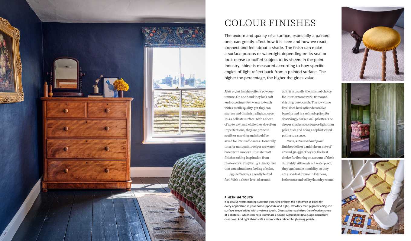 Colorful Homes for the Soul by Sara Bird - Box Turtle