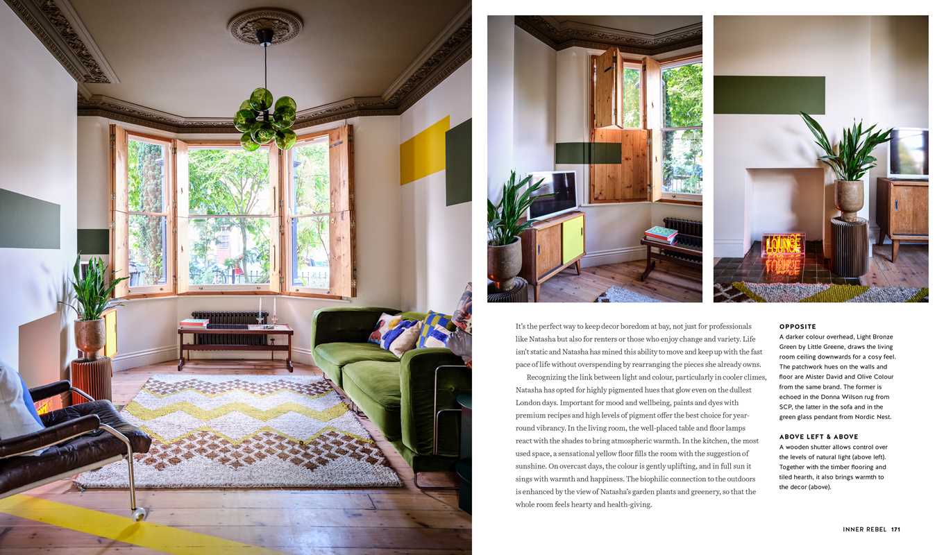 Colorful Homes for the Soul by Sara Bird - Box Turtle