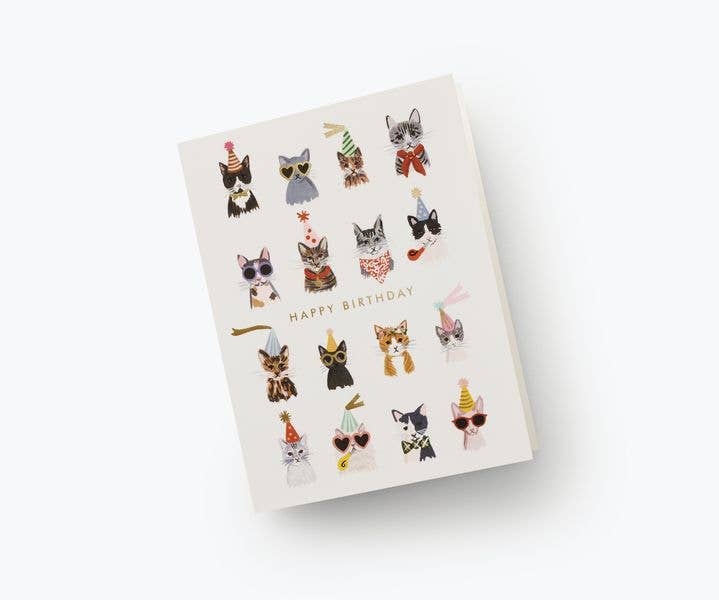 Cool Cats Birthday Card - Box Turtle