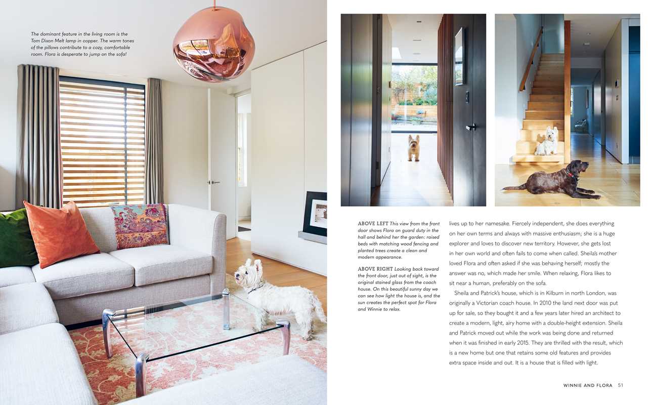 Cool Dogs, Cool Homes - Box Turtle