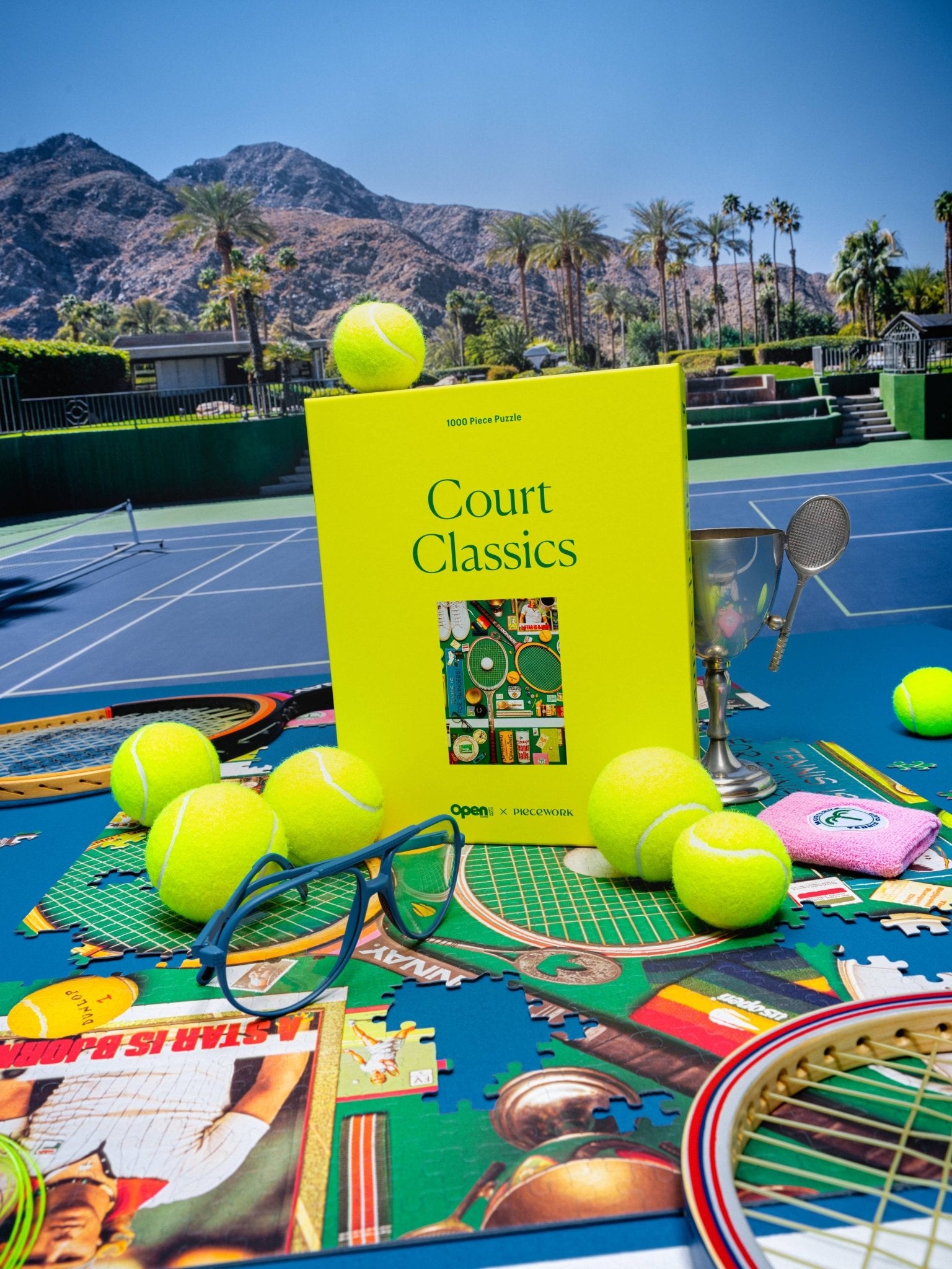 Court Classics Puzzle - Box Turtle