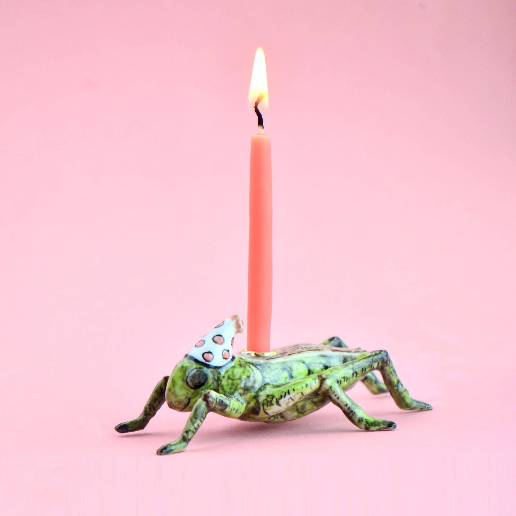 Cricket Cake Topper - Box Turtle