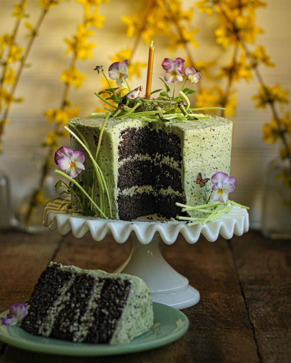 Cricket Cake Topper - Box Turtle