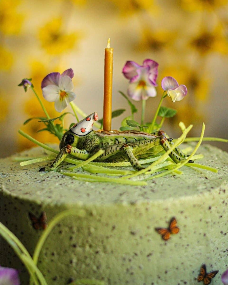 Cricket Cake Topper - Box Turtle