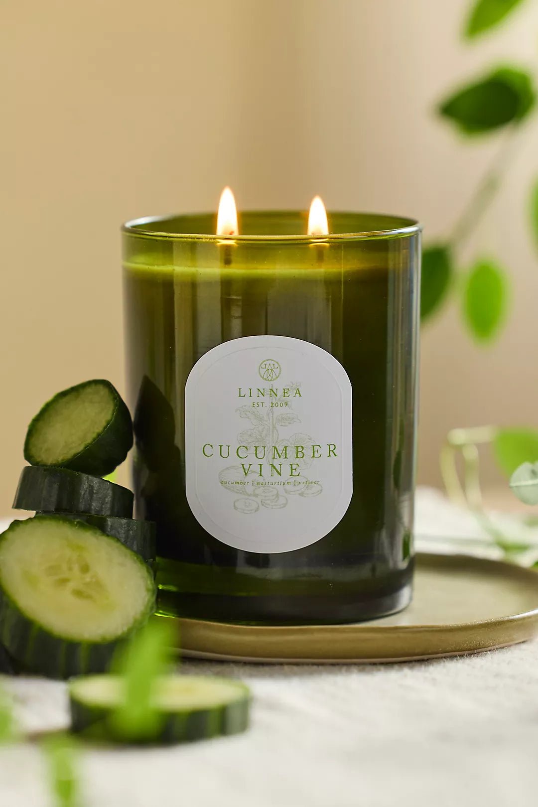 Cucumber Vine Candle - Box Turtle