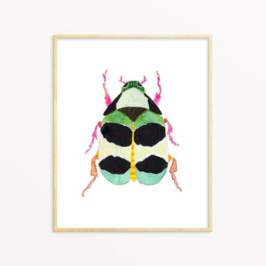 Beetle #32 ~ Art Print