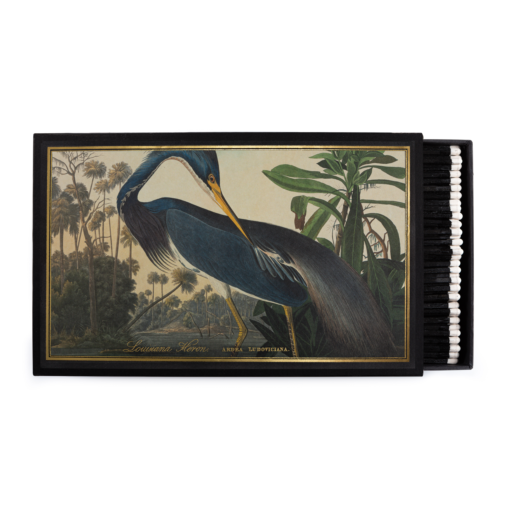 Louisiana Heron - Giant Safety Matches