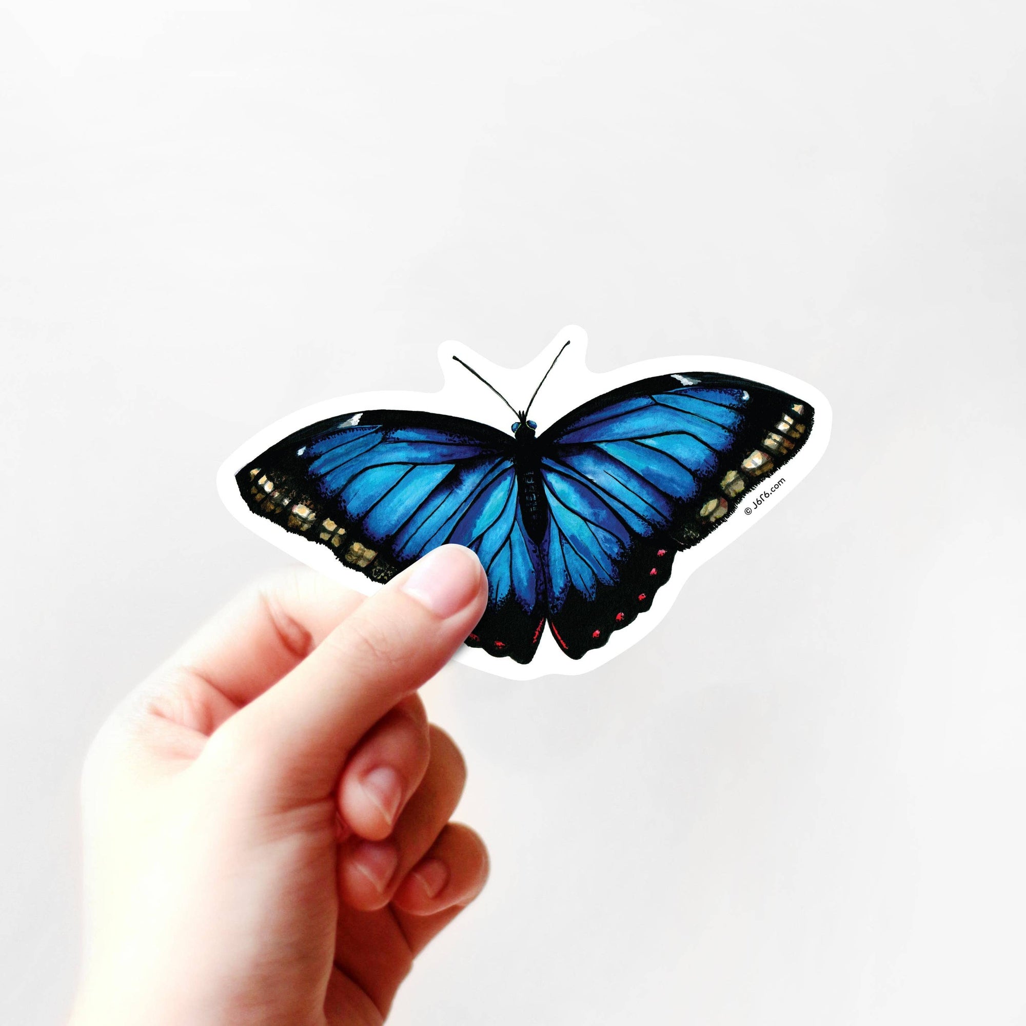 Blue Morpho Butterfly Vinyl Sticker