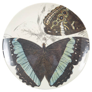 Specimen Large Round Tray