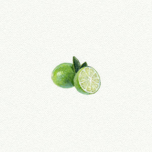 Limes Miniature Watercolor Print
