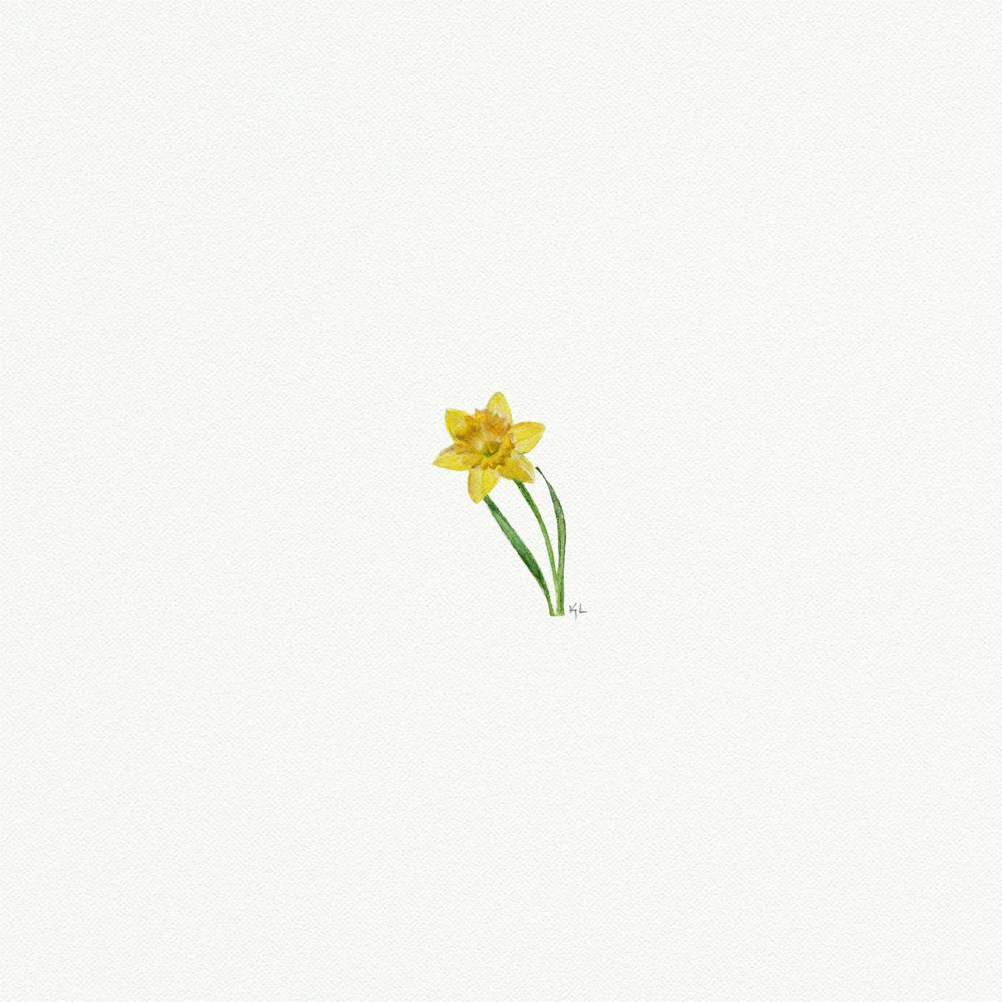 Daffodil Miniature Watercolor Print - Box Turtle