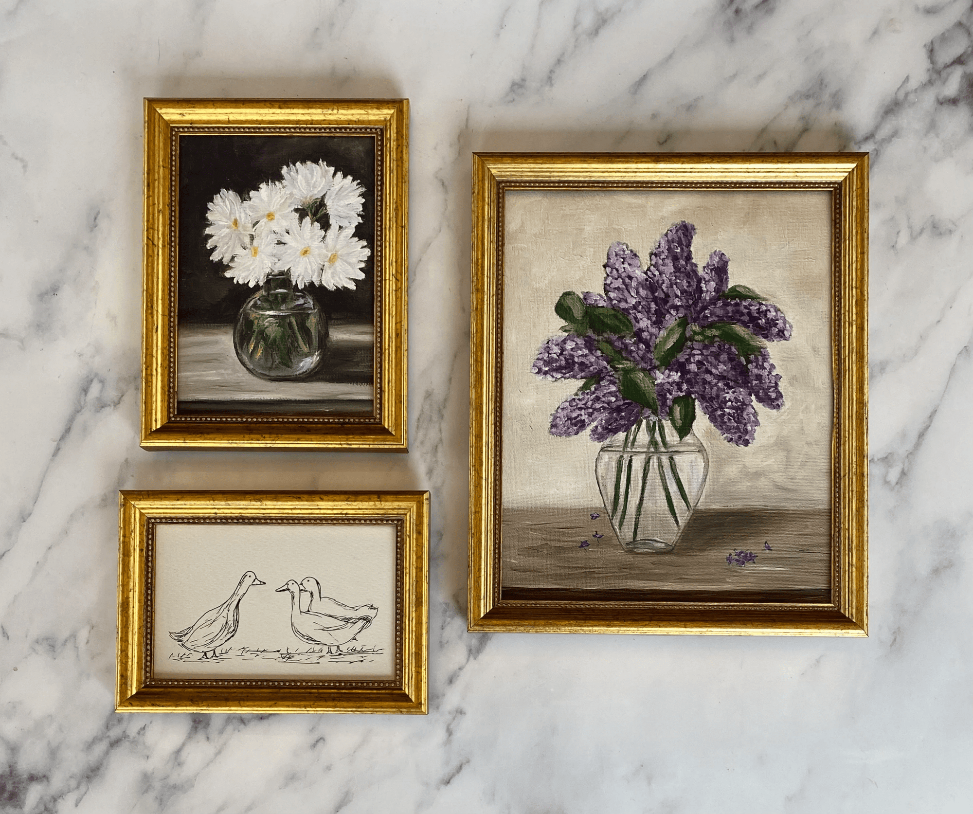 Daisy - Art Print - Box Turtle
