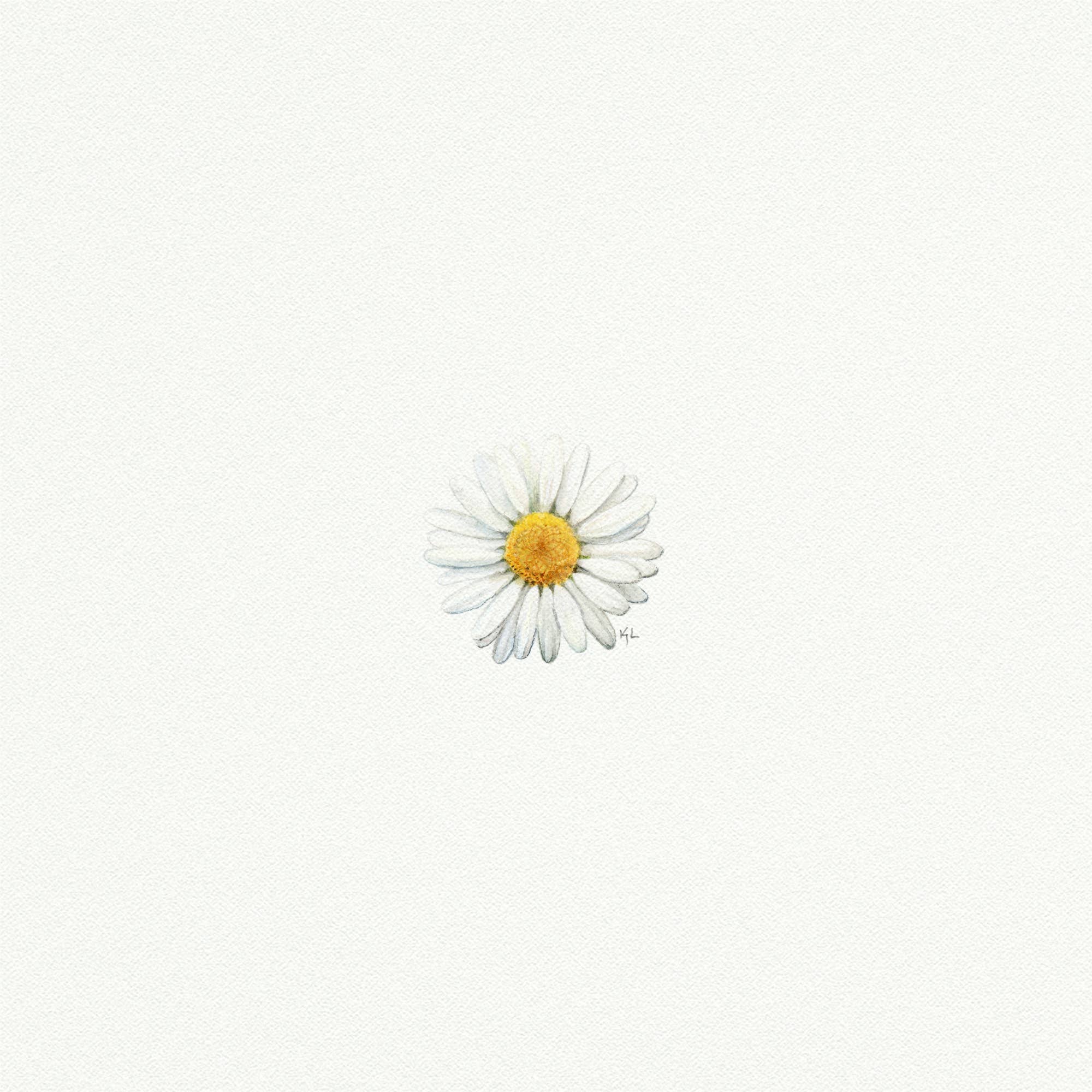 Daisy Miniature Watercolor Print - Box Turtle