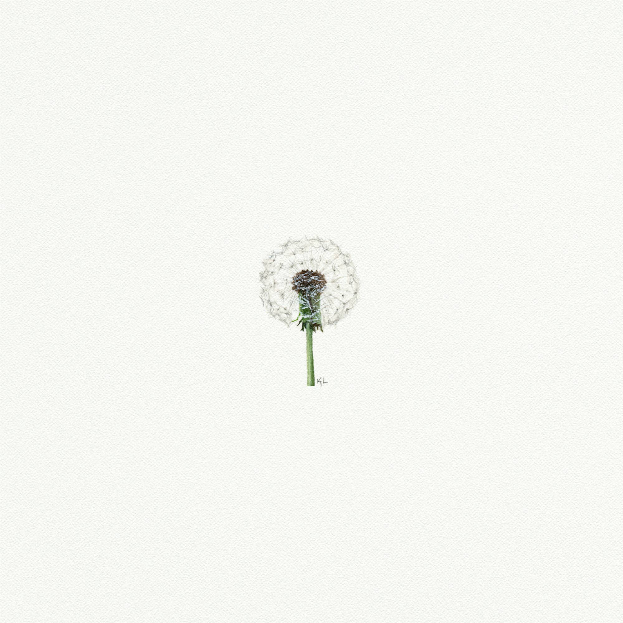 Dandelion Miniature Watercolor Print - Box Turtle