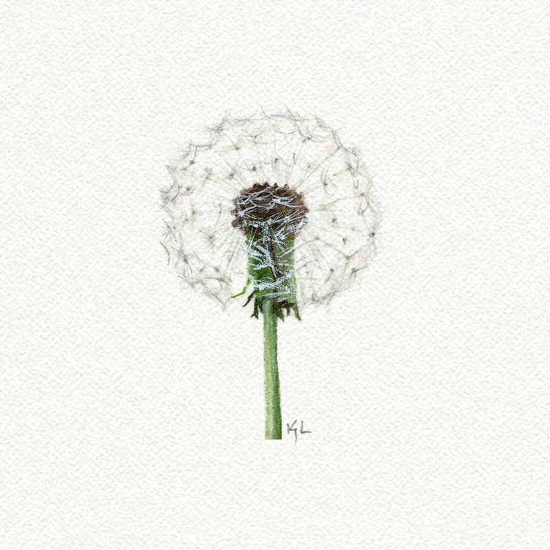 Dandelion Miniature Watercolor Print - Box Turtle