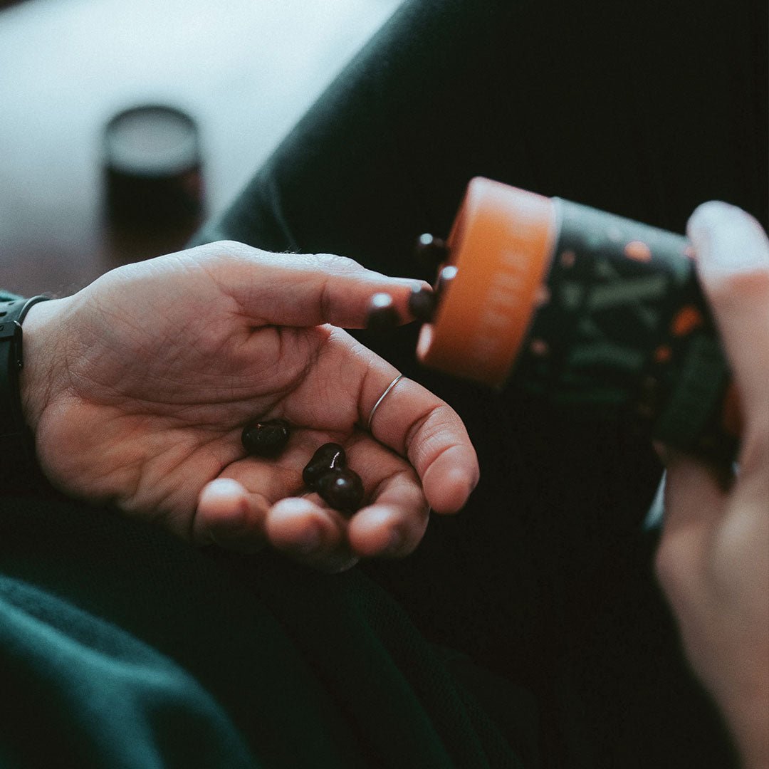 Dark Chocolate Covered Espresso Beans - Box Turtle