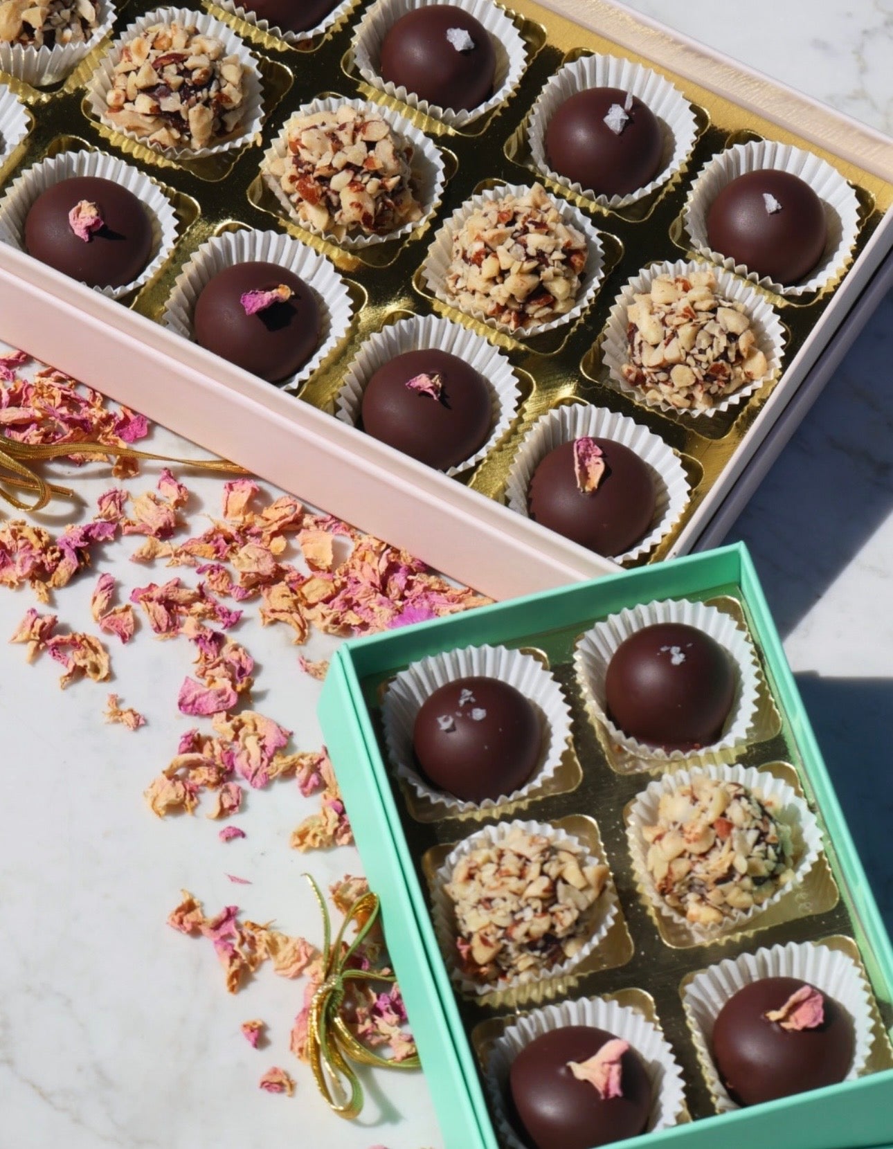 Dark Chocolate Truffles - Box Turtle