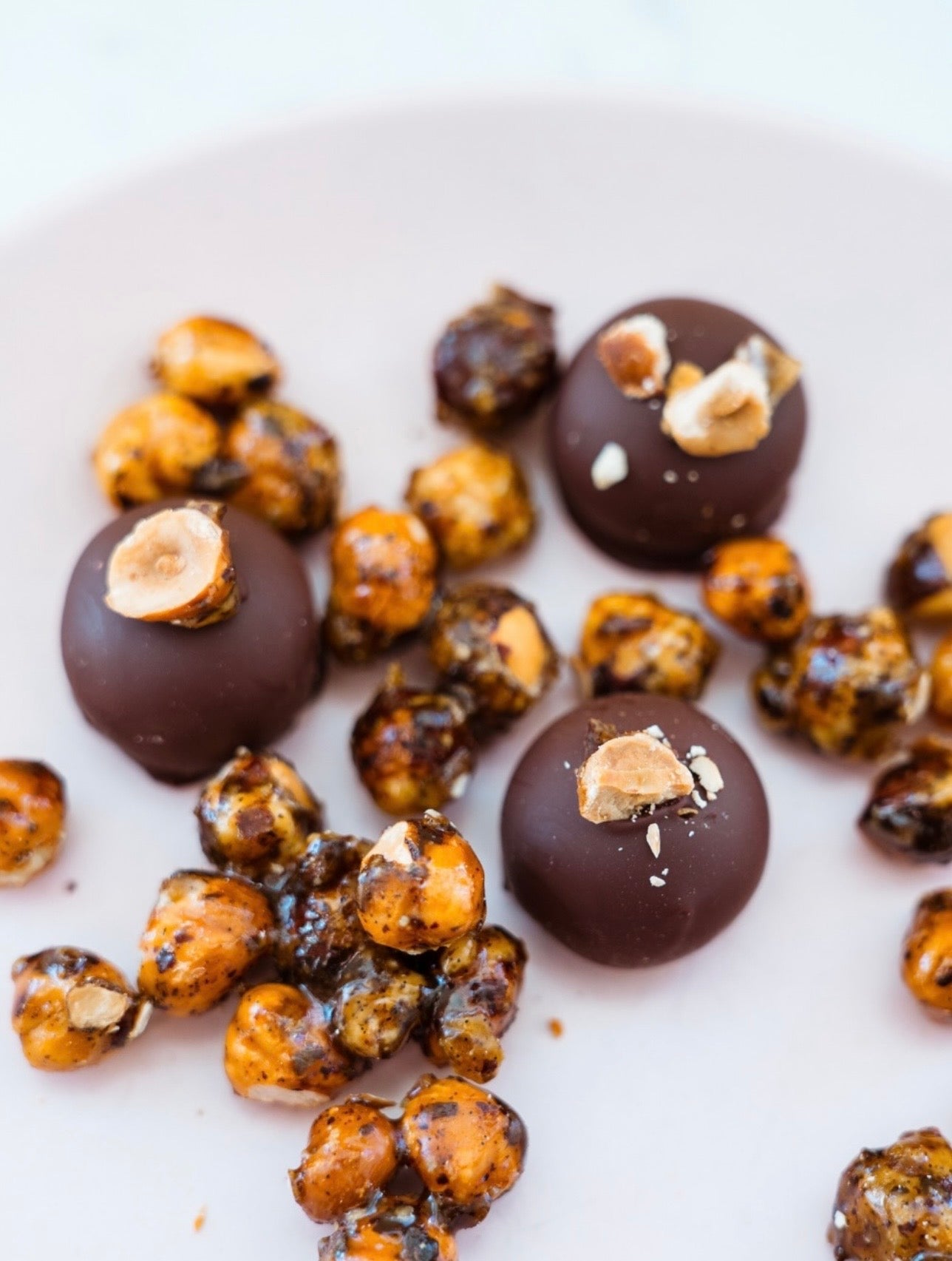 Dark Chocolate Truffles - Box Turtle