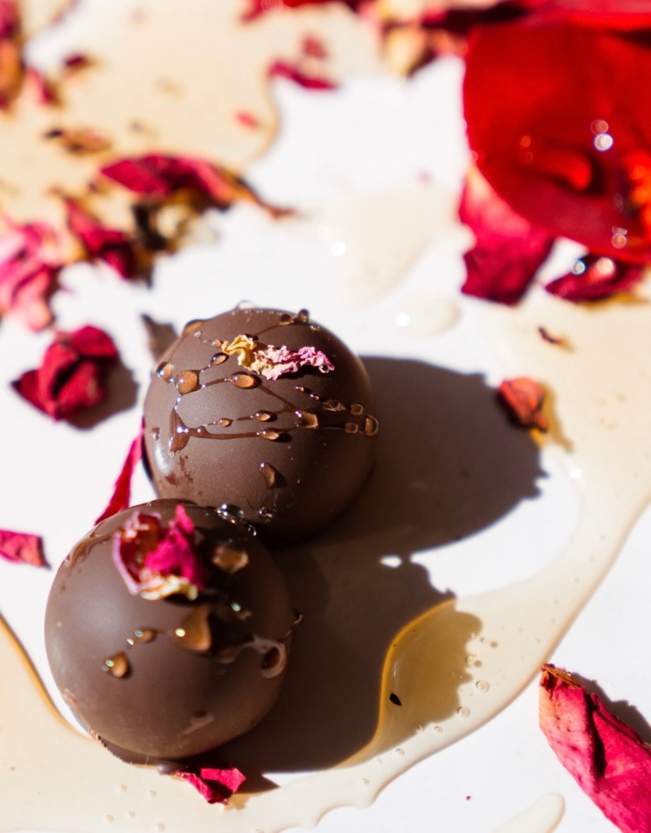 Dark Chocolate Truffles - Box Turtle