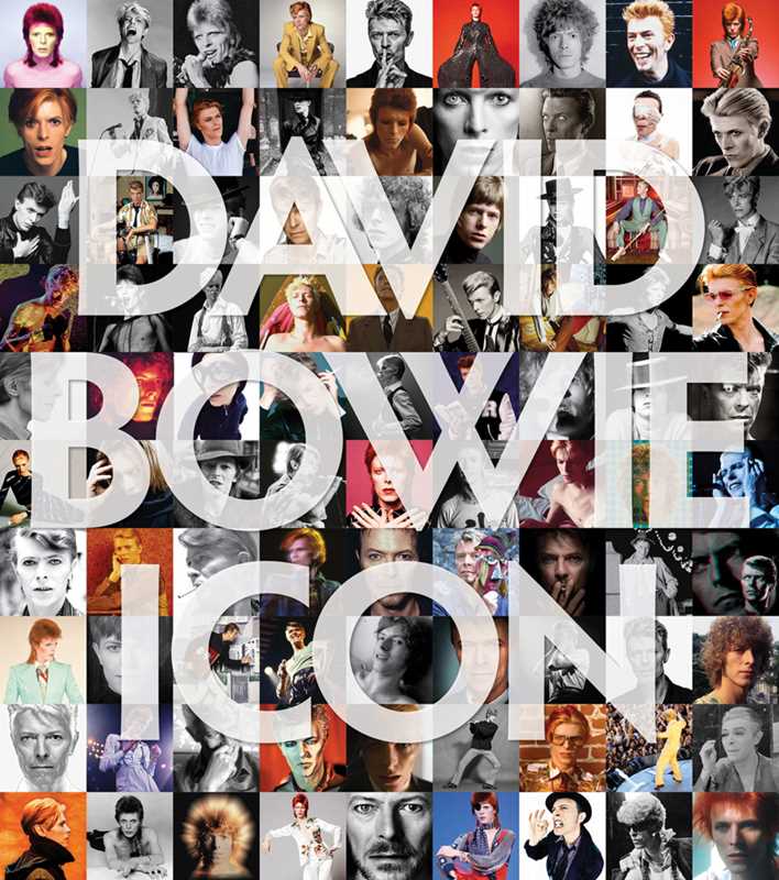 David Bowie: Icon - Box Turtle