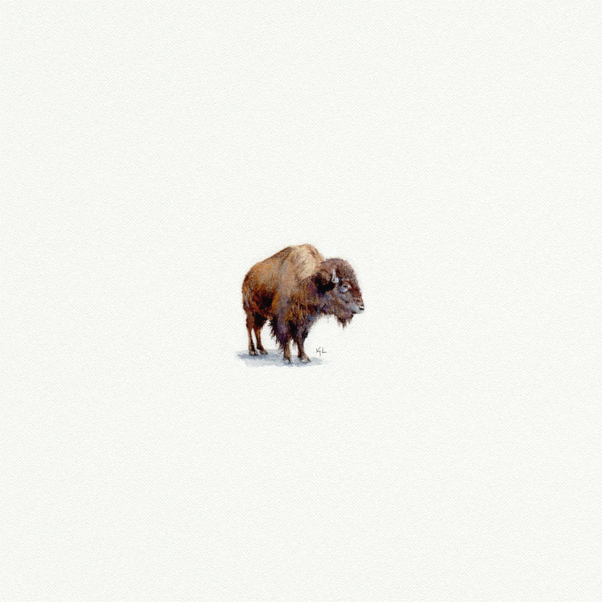 Buffalo Miniature Watercolor Print